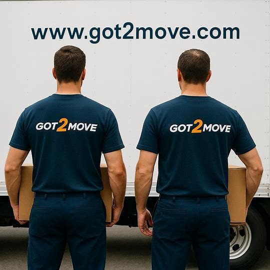 two movers carrying boxes helping with a move from San Francisco to San Diego
